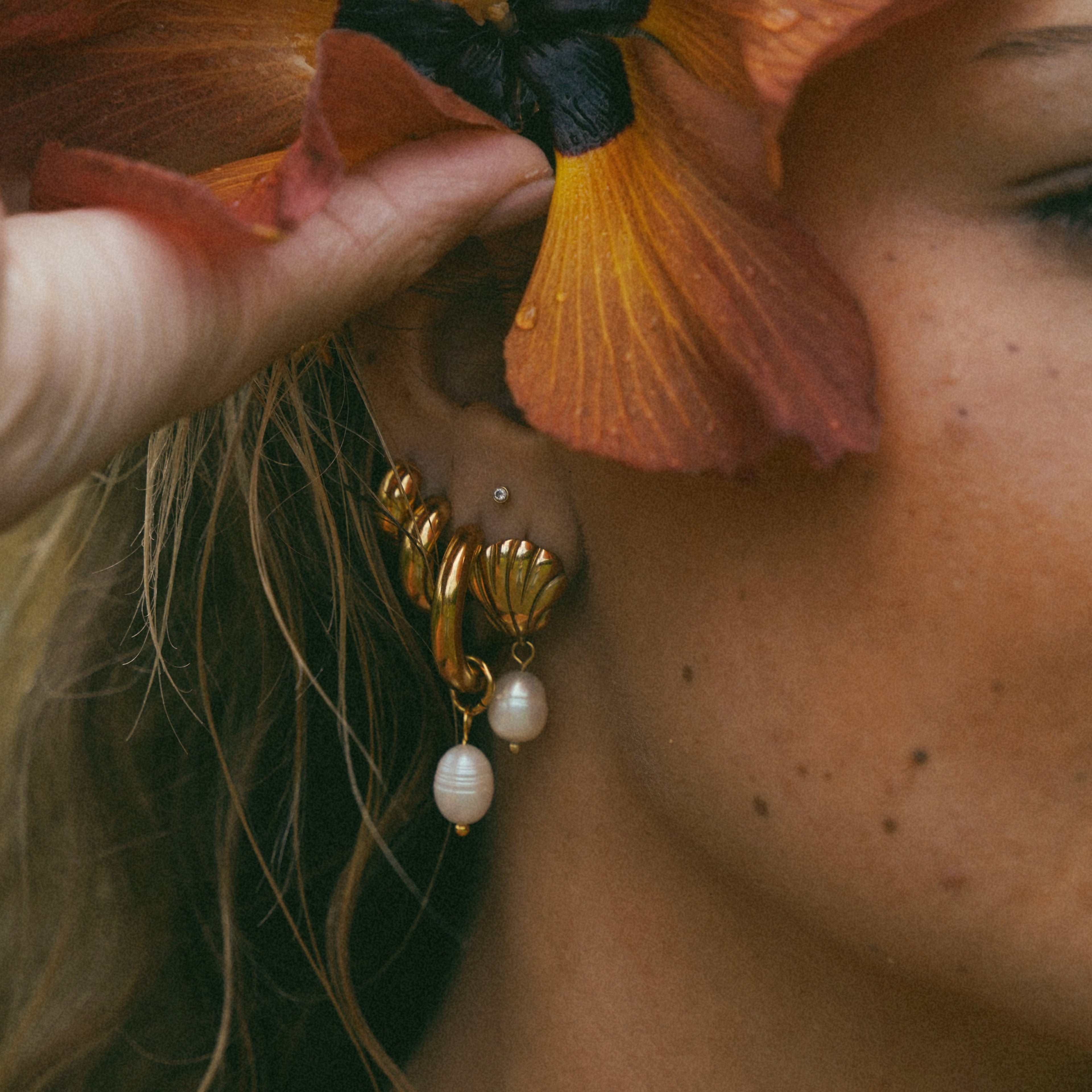 Dawnshell Earrings